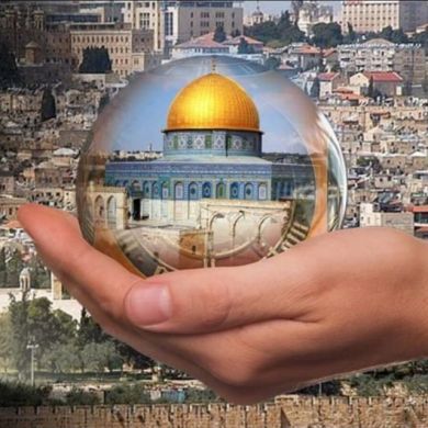 محمد محمد أبو عمر profile picture