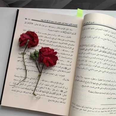 عَبير أُم عَبد الرَّ