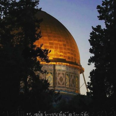 Marwa Mohamed Profile Picture