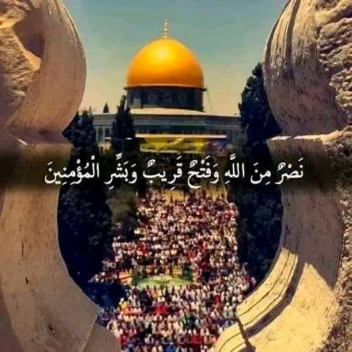 محب الدين abu hanifa