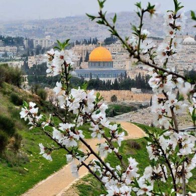 abdo Houmed Profile Picture