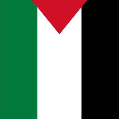 seyf husen hssne Profile Picture