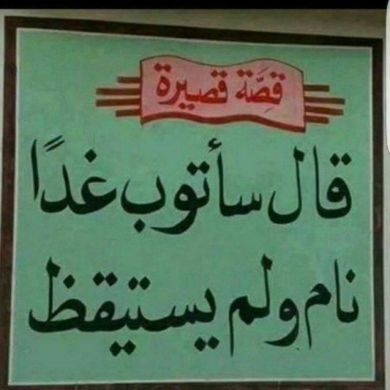 shemsedi mohamed Profile Picture