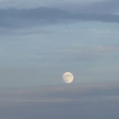 ياسمين حسام