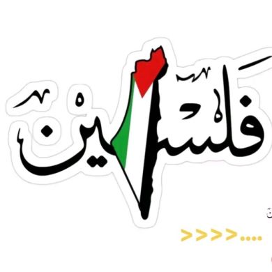 hikma abdurhman Profile Picture