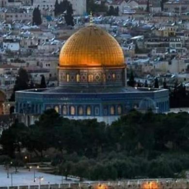 semir jemal Profile Picture