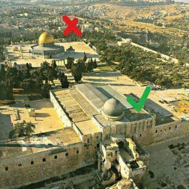 abdi kedir Profile Picture