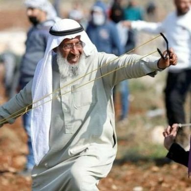 زروقي محمد البشير