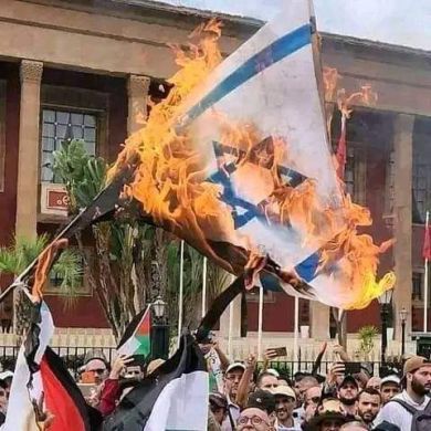 المنتصر بالله Profile Picture