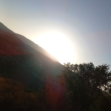 ha ďjër Profile Picture