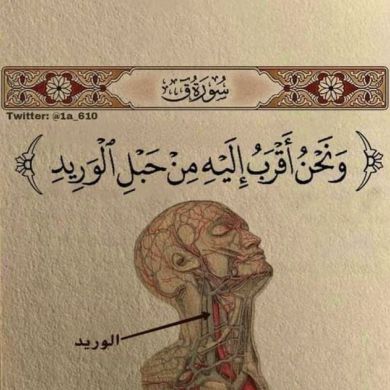 Has Dan Profile Picture