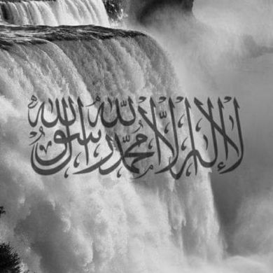 yusuf habib Profile Picture