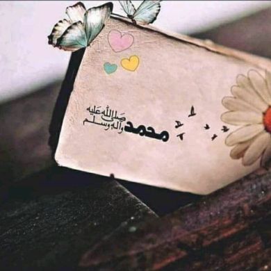 zakir lbnu kedir Profile Picture