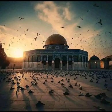 ismael shemsedin Profile Picture