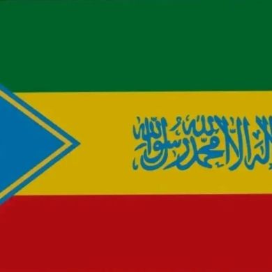 semir aman sam Profile Picture