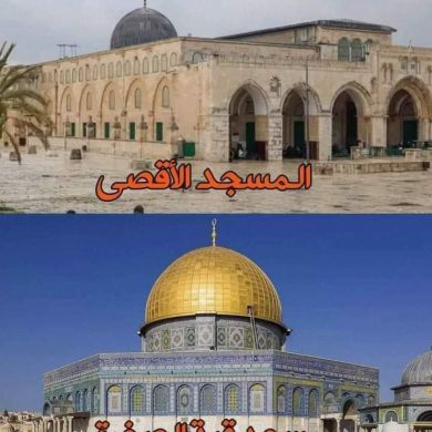 hayat Gebiyaw Profile Picture