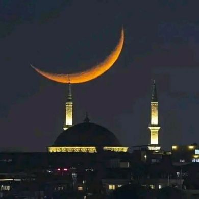 omer Skg Profile Picture