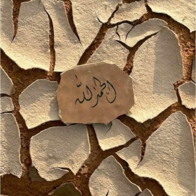 بنت الأستاذ Mohammed