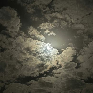 شيماء العروسي