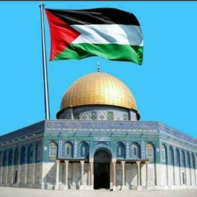 يوسف عمرو - Youssef Amr Profile Picture