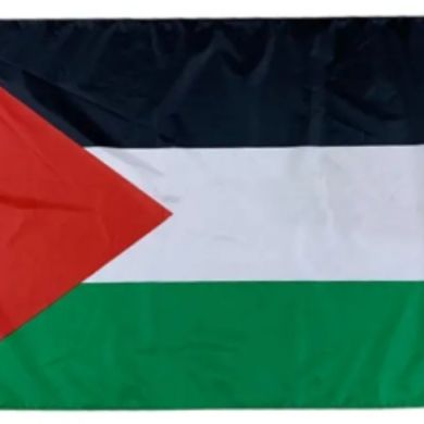 afif faris Profile Picture