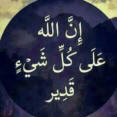 mehammed emam profile picture