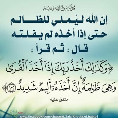 abduwe1 Profile Picture