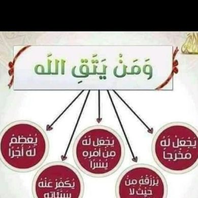 hayat ahmed Profile Picture