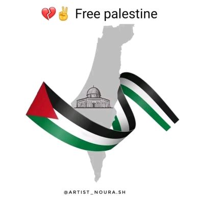 Kamil Mohammed Profile Picture