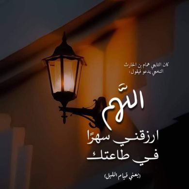 عمر جهاد ناصر