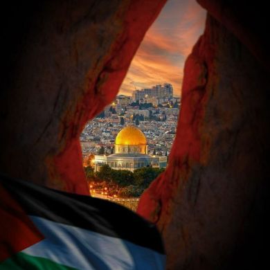 محمد أحمد محمد Profile Picture