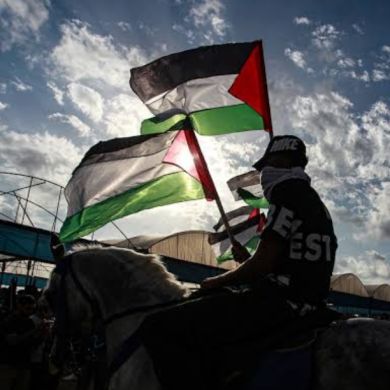 jullanar ummar Profile Picture