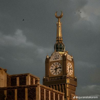 hamza taye Profile Picture