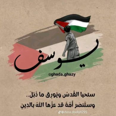 Yousef Snosy Profile Picture