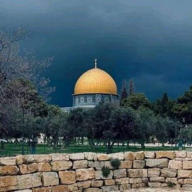 اسماء ام محمد Profile Picture