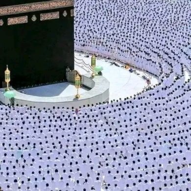 Kamil Mensur Profile Picture