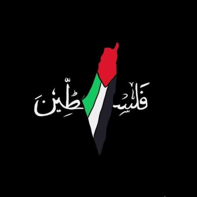 yossef Profile Picture