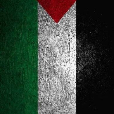 نور الإسلام profile picture