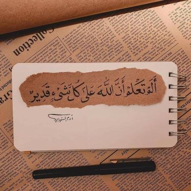 Salsabil Nagy Profile Picture