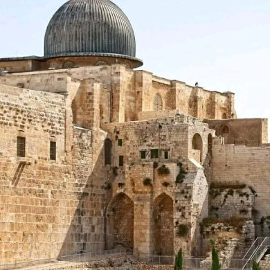 semuye Profile Picture