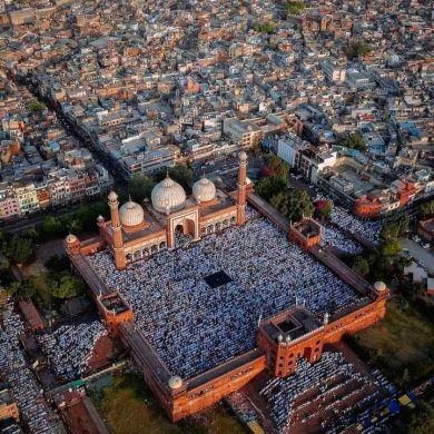 Mohammed sheycho Profile Picture