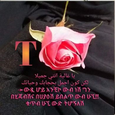 Toyba seid Profile Picture