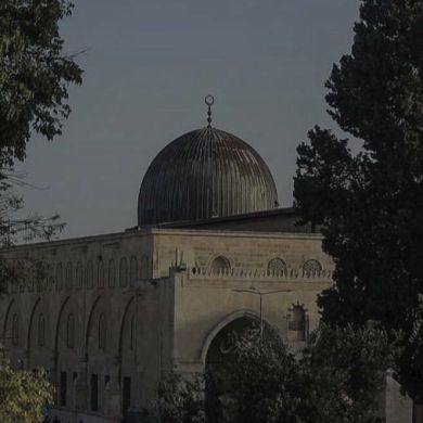 Al Vadud Al Vadud Profile Picture