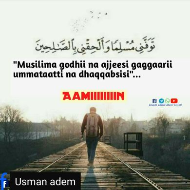 Usman Adem Profile Picture