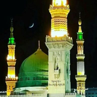 محمود زكريا Profile Picture