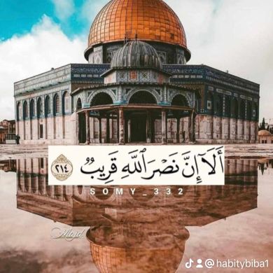 habitybiba Profile Picture