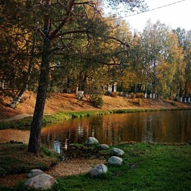 Алина Ким Profile Picture