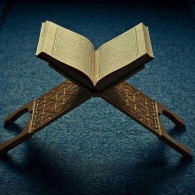 عبدالرحمن شيخ أنور Profile Picture