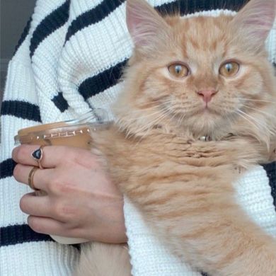 lily_ana bouzid Profile Picture