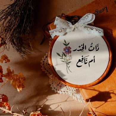 ندى أم نافع